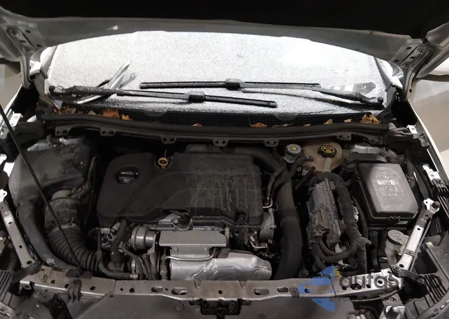 3G1BE6SM0JS653962: 44277501