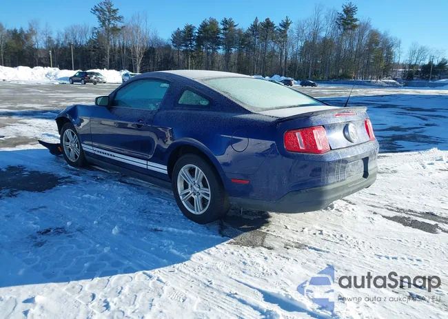 1ZVBP8AN3A5155754: 44276741