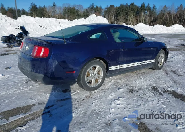 1ZVBP8AN3A5155754: 44276741