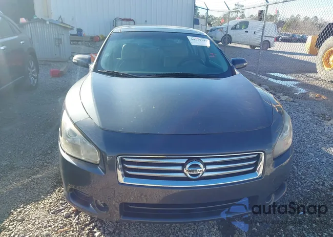 1N4AA5AP7DC828275: 44279241