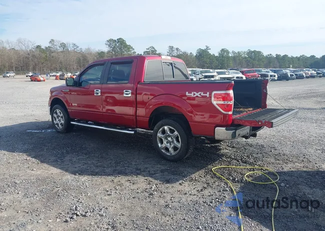 1FTFW1EFXDFD99319: 44279328