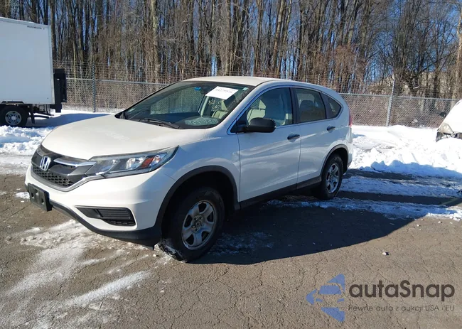 5J6RM4H31GL065377: 44279576