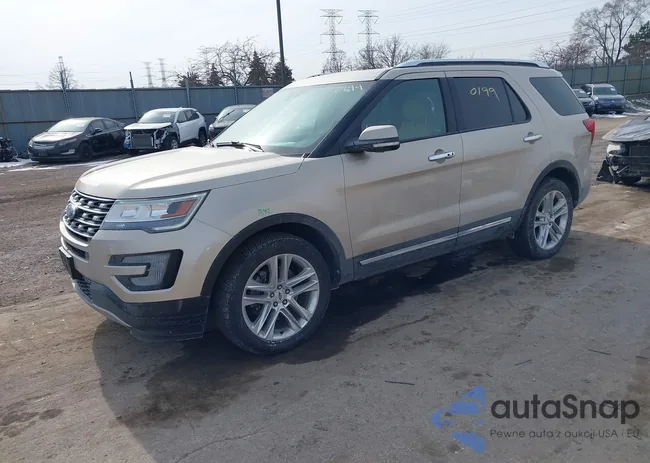 1FM5K8F83HGD50488: 44280199