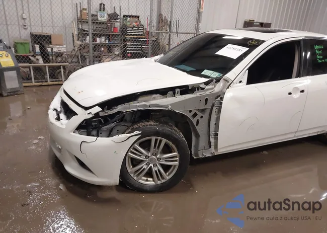 JN1CV6AR8DM355210: 44280283