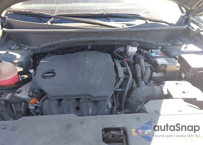 5NMJB3AE3PH242799: 44280429