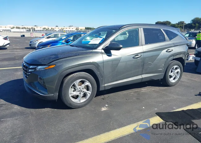 5NMJB3AE3PH242799: 44280429