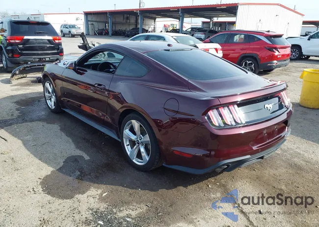 1FA6P8TH9J5135218: 44280531