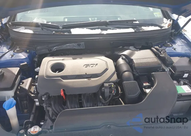 5NPE24AF2FH216650: 44281071