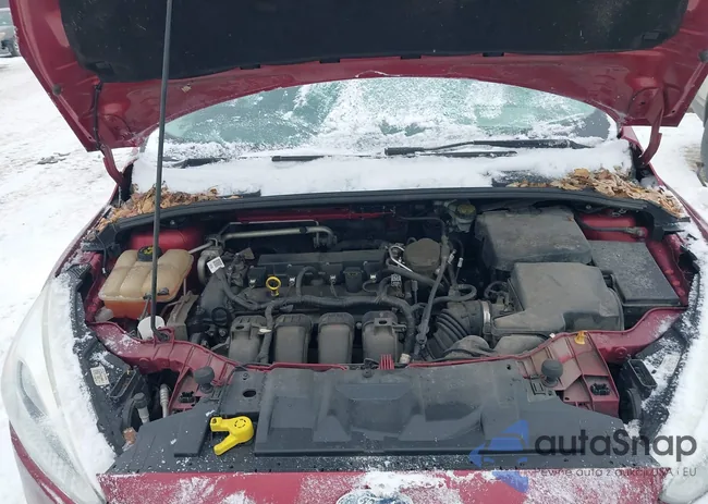 1FADP3F2XGL237696: 44281188