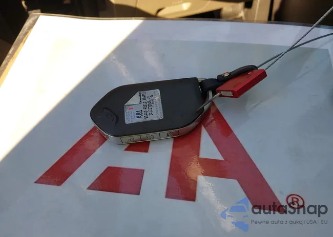 KNDNC5KAXS6065762: 44281310