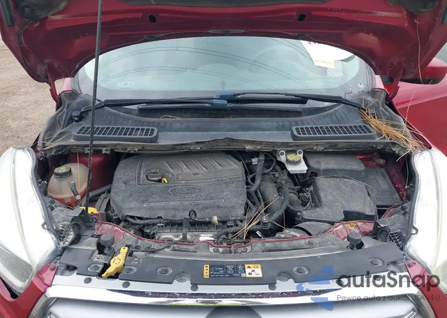 1FMCU0GD5HUE93992: 44281464