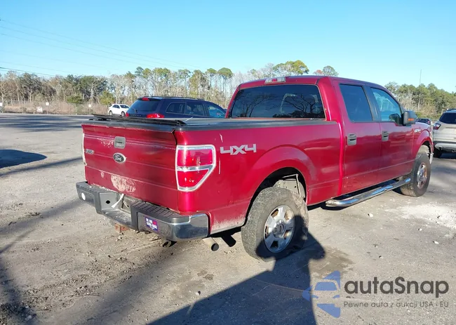 1FTPW14V49FB21276: 44281010