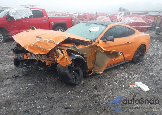 1FA6P8TH6M5117957: 44282268