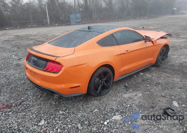 1FA6P8TH6M5117957: 44282268