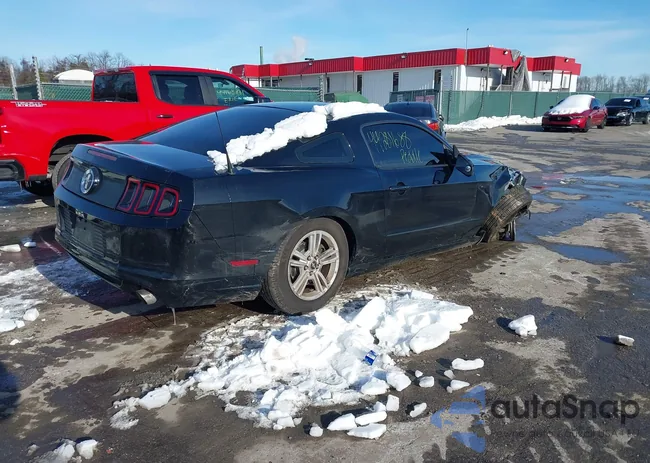 1ZVBP8AM6E5256381: 44281688