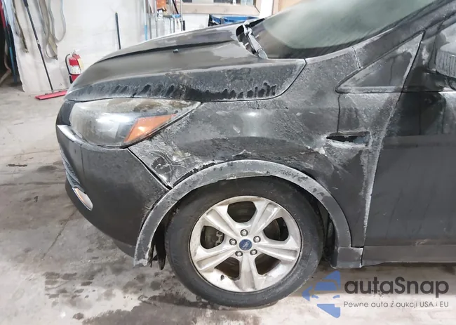 1FMCU9GX8FUC25918: 44281839