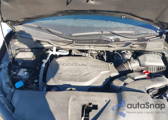 5FNRL6H64SB008293: 44283270