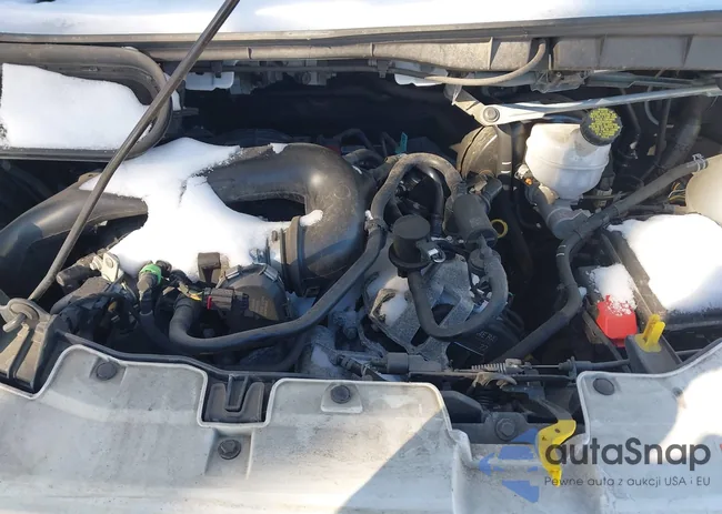 1FBAX2Y88PKA21154: 44283849