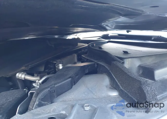 JN1EV7AP3KM540288: 44283985