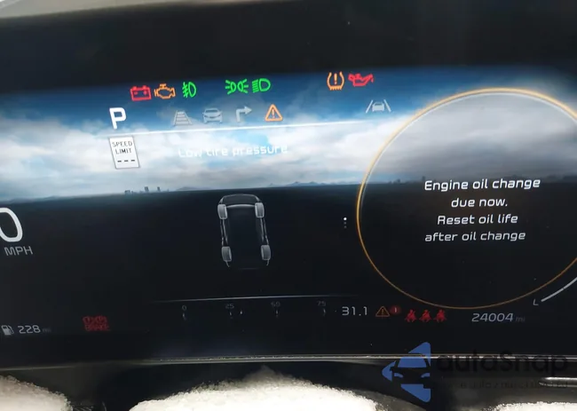 KNDPXCDGXS7244445: 44285078