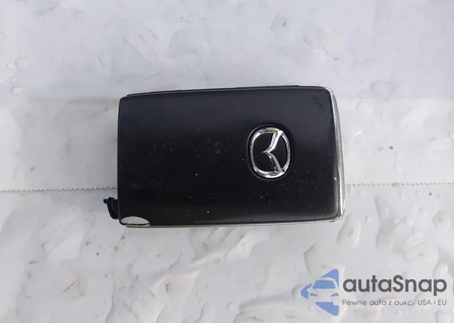 JM1BPAKL1M1338430: 44285167