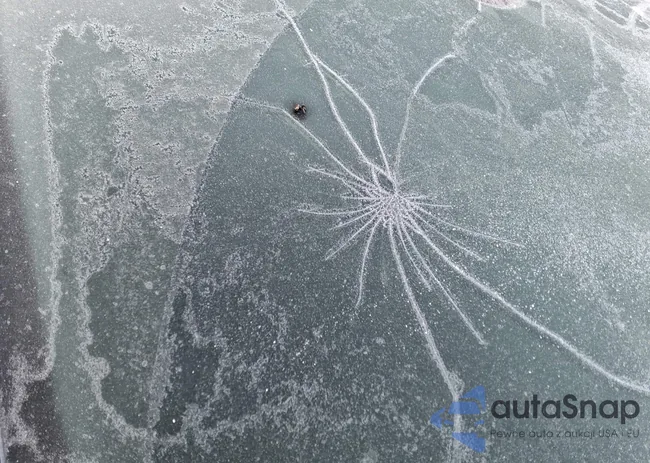 1G1ZB5ST8HF107790: 44285199