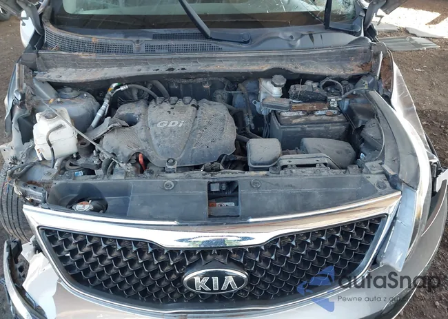 KNDPBCAC4G7840920: 44285293