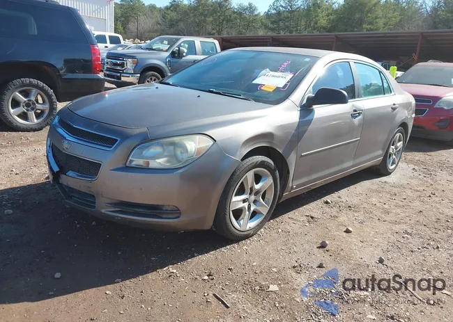 1G1ZB5EB4AF126443: 44286095