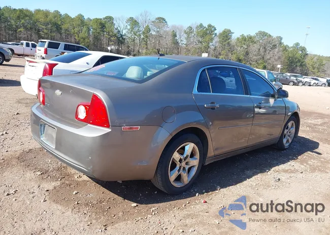 1G1ZB5EB4AF126443: 44286095