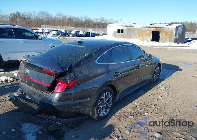 KMHL64JA1PA305131: 44287344