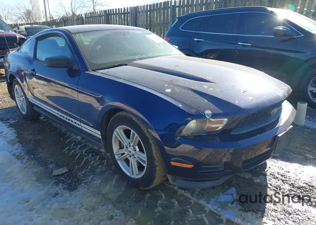 1ZVBP8AMXC5246997: 44286843