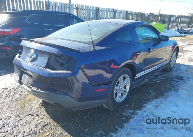 1ZVBP8AMXC5246997: 44286843