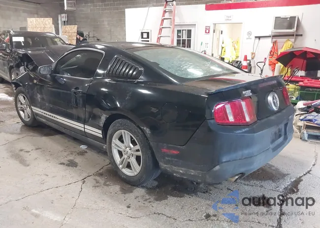 1ZVBP8AMXB5118788: 44288176