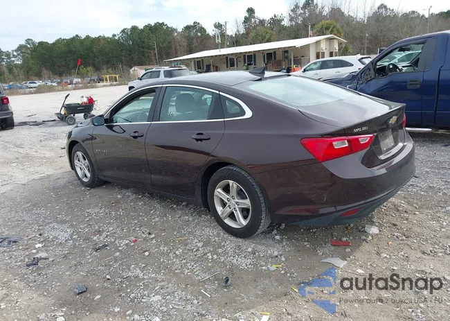 1G1ZC5ST8MF031477: 44288181