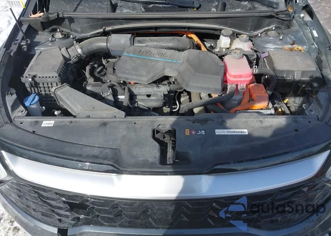 KNDPVCAG1P7066247: 44289219