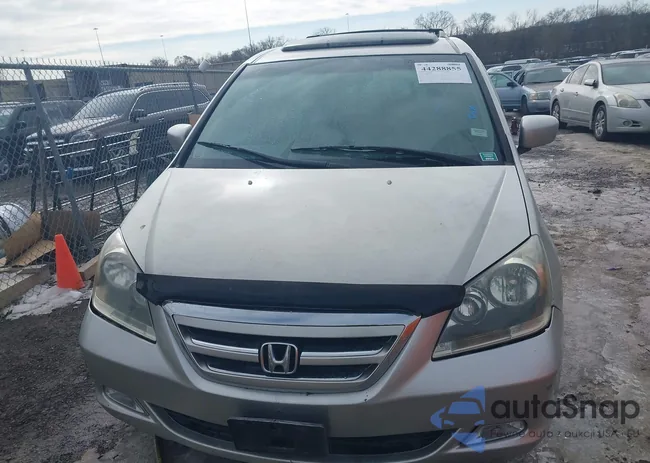 5FNRL38816B001484: 44288855