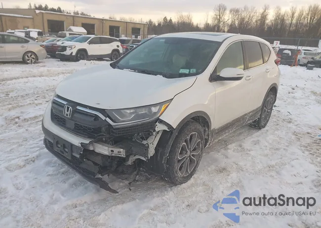 5J6RW2H87NL004199: 44290245