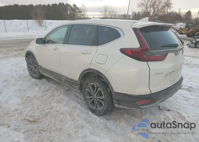 5J6RW2H87NL004199: 44290245