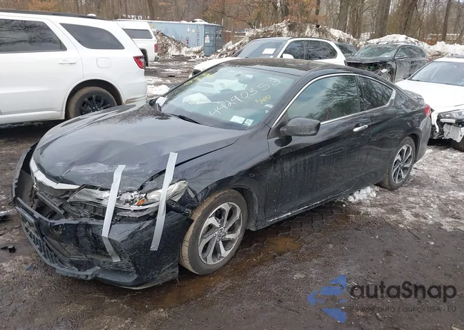 1HGCT1B39GA004734: 44290353