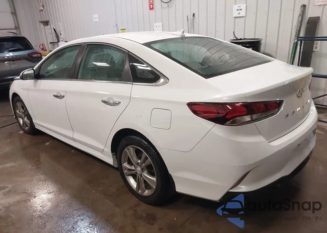 5NPE34AF7KH816572: 44290484