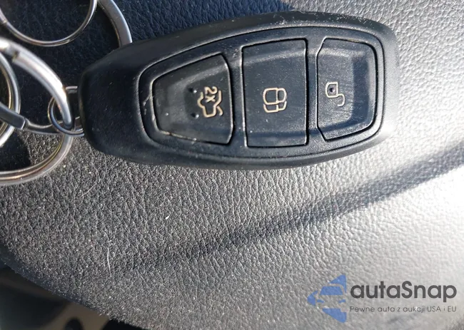 1FADP5BU0DL516069: 44290492