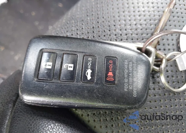 JTHBA1D21H5055593: 44290561