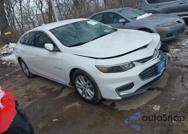 1G1ZE5ST0HF205042: 44290569