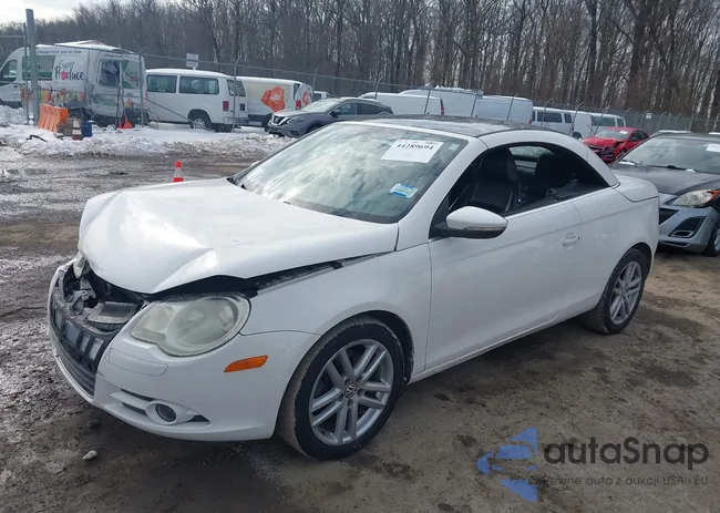 WVWFA71F89V013162: 44289694