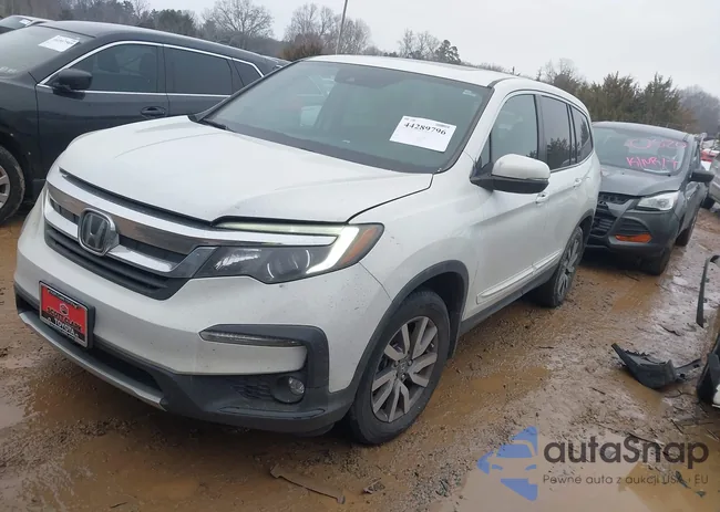 5FNYF5H5XLB008790: 44289796