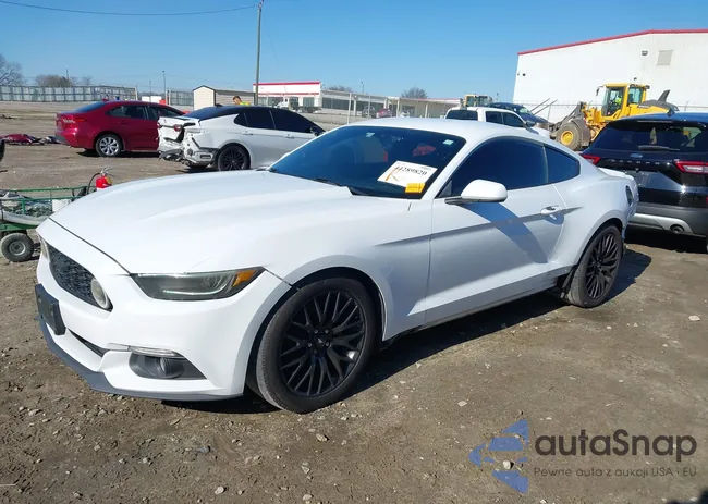 1FA6P8AM2G5220166: 44289820