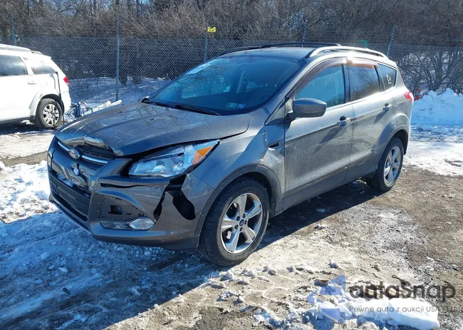 1FMCU0GX8EUB38143: 44289900