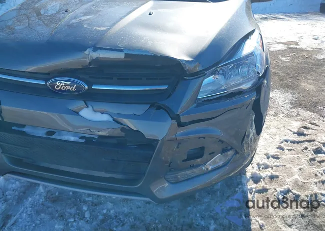 1FMCU0GX8EUB38143: 44289900