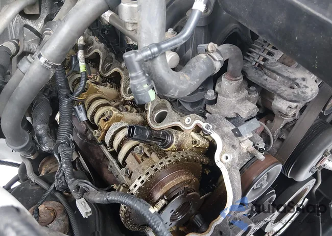 1FMJU2A55CEF54569: 44289973