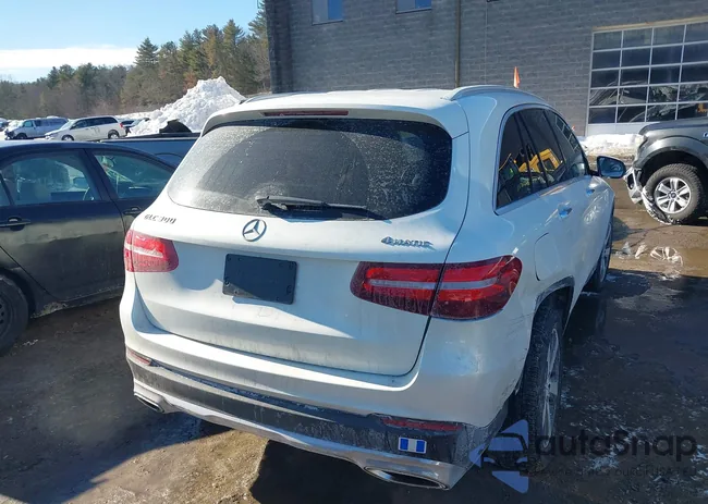 WDC0G4KB7GF096602: 44291150